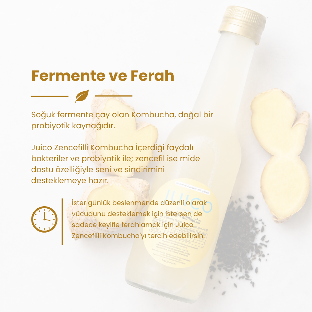 Zencefilli Kombucha