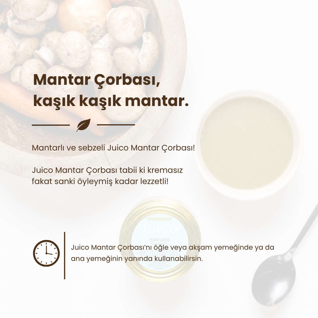 Mantar Çorbası