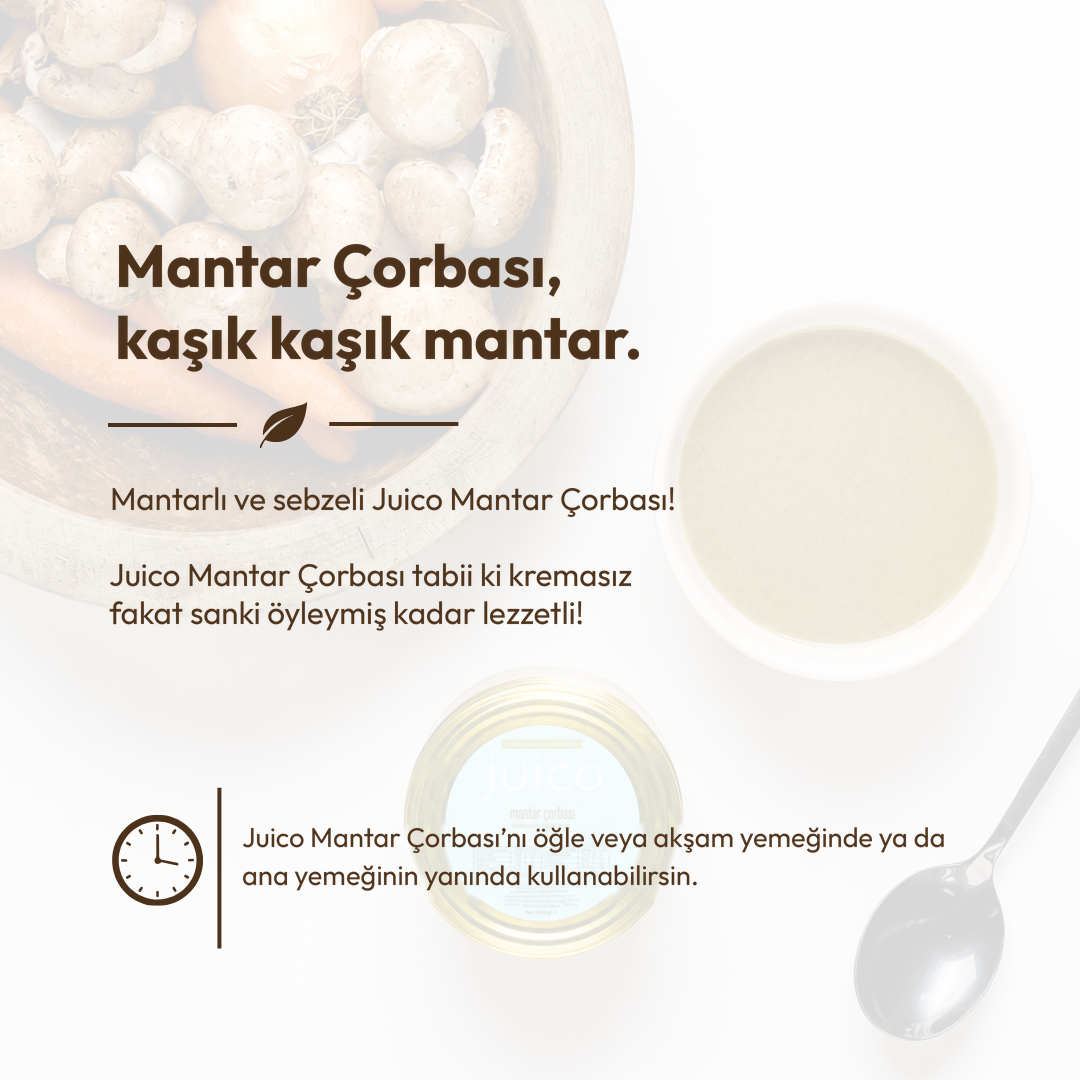 Mantar Çorbası